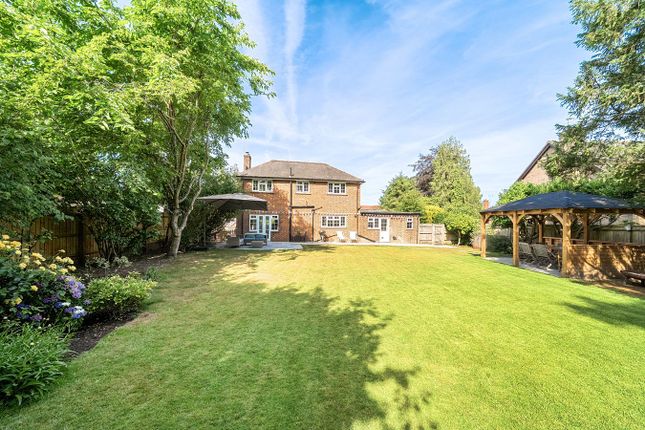 Silver Howe, The Rise, Brockenhurst photo 4