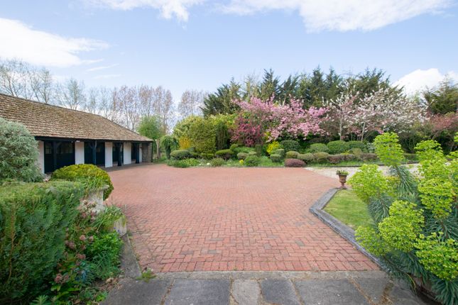 Period Farmhouse, Barrow Hall Road, Southend-on-Sea photo 2