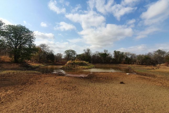 Farm for sale in 1 Selati Ranch, 1 Harmony, Harmony Block, Hoedspruit, Limpopo Province, South Africa