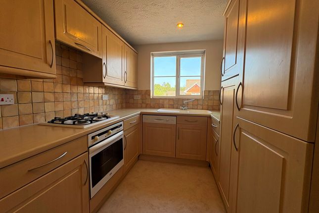 40, Exeter photo 2