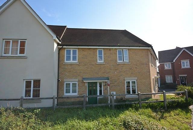 Thumbnail Terraced house to rent in Braganza Way, Springfield