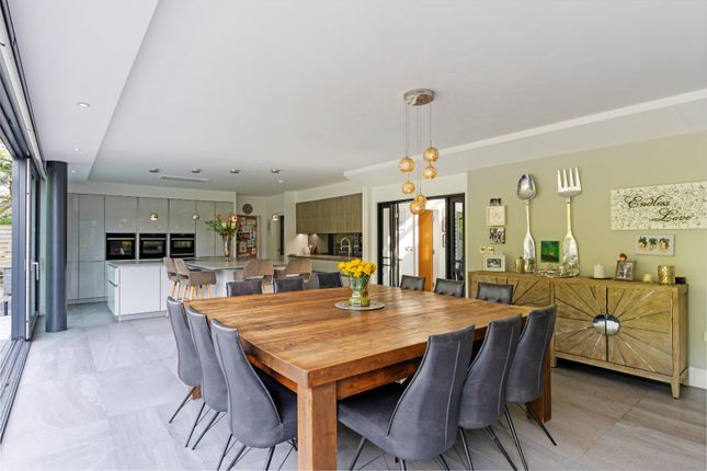 Kitchen/Living/Diner
