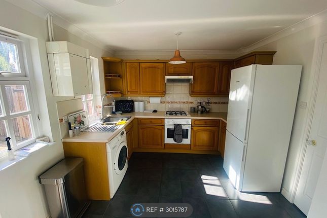 Wilkins Grove, Welwyn Garden City photo 5
