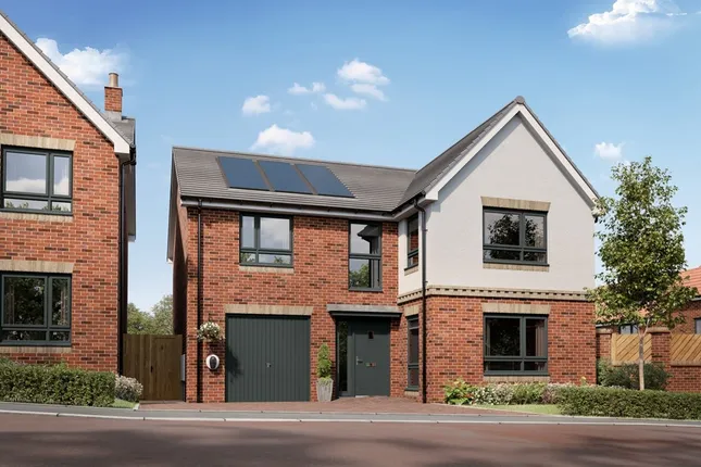 Taylor Wimpey - Alder Park