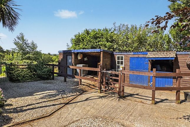 8, Tredethy Road, Bodmin photo 3