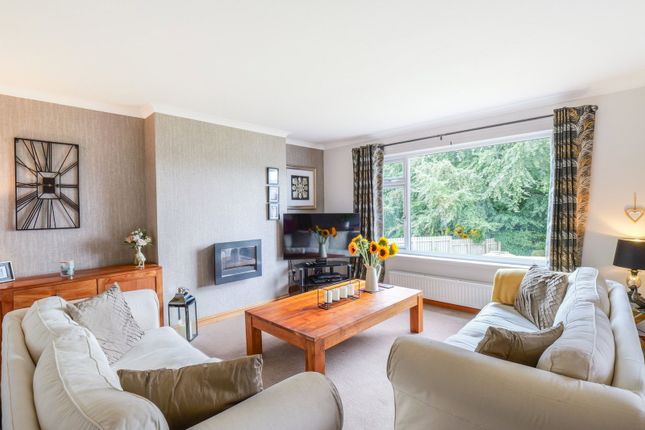 60, Gillbrae, Dumfries photo 3