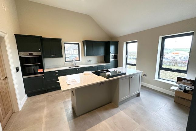 Detached house for sale in Tamnaherin Road, Cross, Londonderry