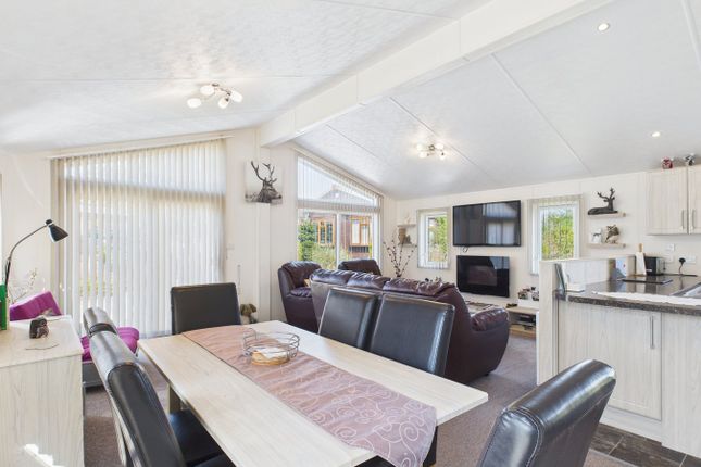 Woodlands View Caravan Park, Squirrel Lodge, Chepstow Road, Coleford photo 2