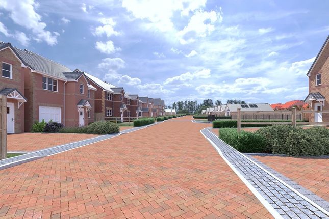Plot 6, The Duchess II, South Kirkby photo 3