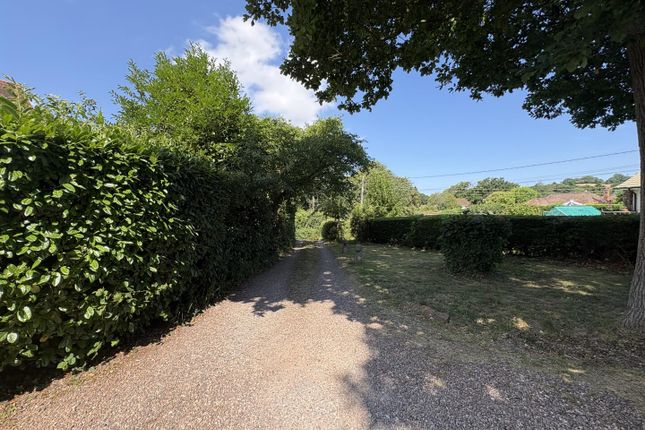 35, Church Lane, Taunton photo 4