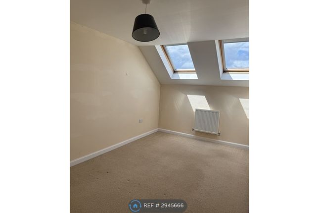 Mill Pond Crescent, Chichester photo 4