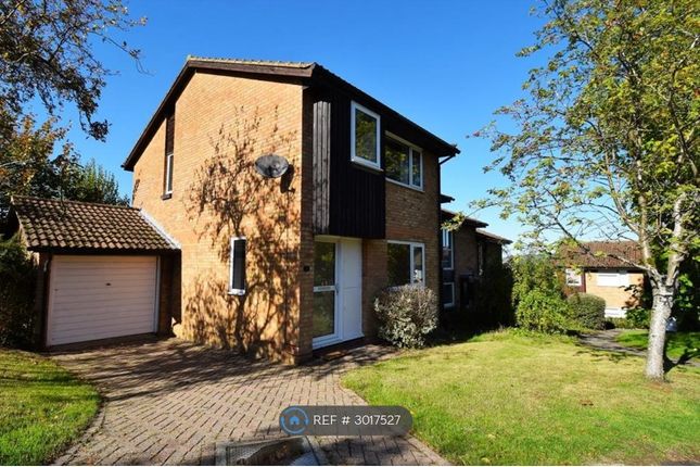 Kennedy Gardens, Sevenoaks photo 2