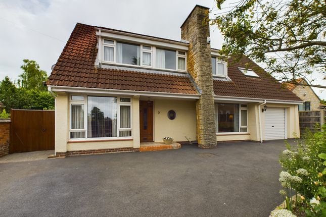Thumbnail Detached house for sale in Park Road, Bridgwater