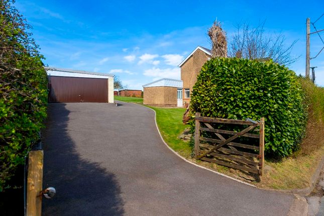 Penrhiwceiber Farm, Mountain Ash photo 2