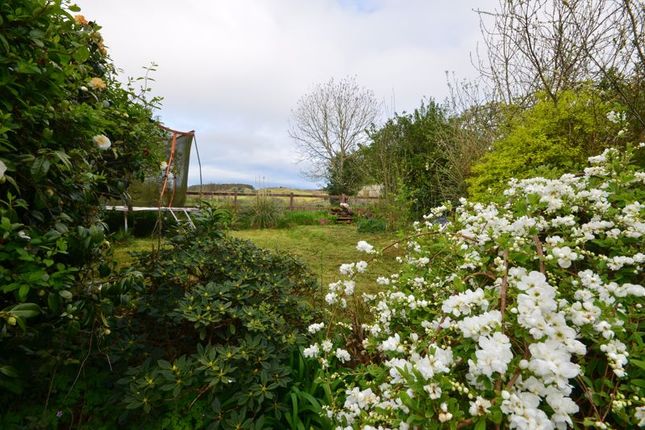 Semi-detached house for sale in Hillcrest, Chagford Cross, Moretonhampstead