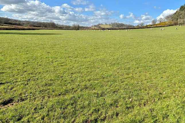 Land for sale in Llandefaelog Tre'r-Graig, Trefeinon, Brecon, Powys.