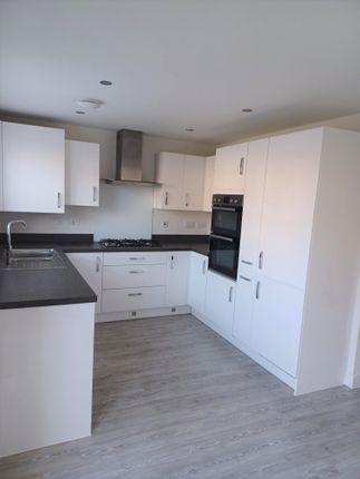 23, Emperor Avenue, Chester photo 4