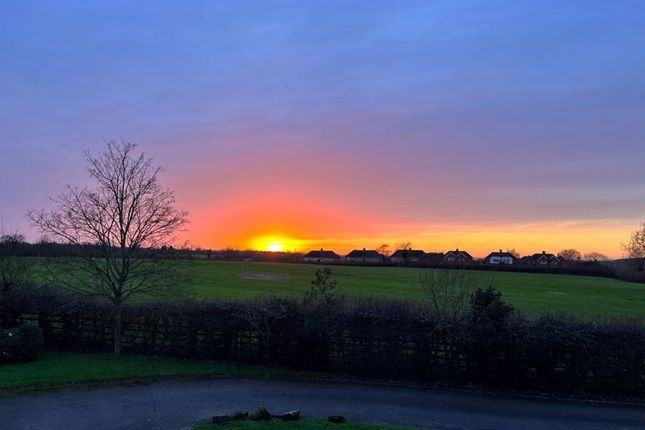 Sunset View