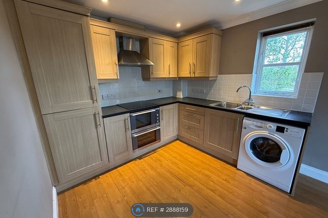 Groves Close, Colchester photo 3