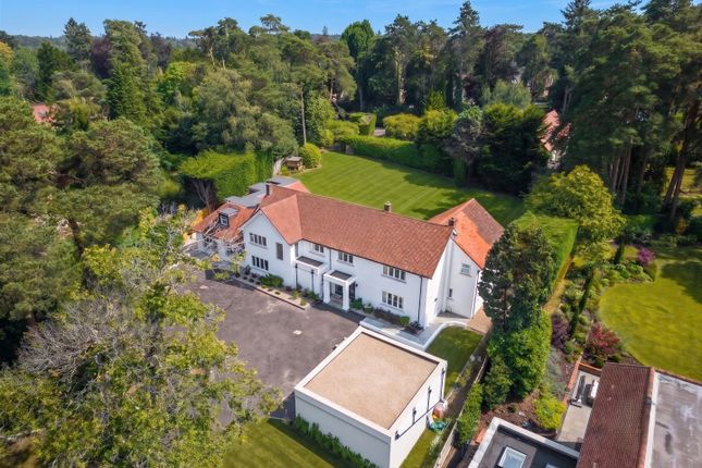Pinehill, Sunning Avenue, Ascot photo 4