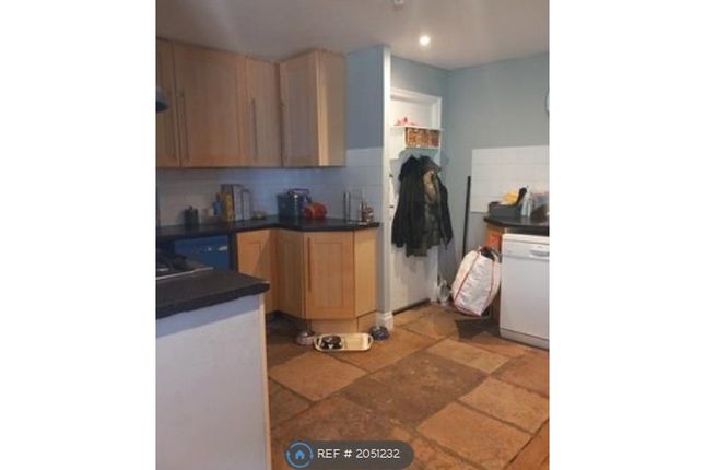 Semi-detached house to rent in Newport Road, Freshwater