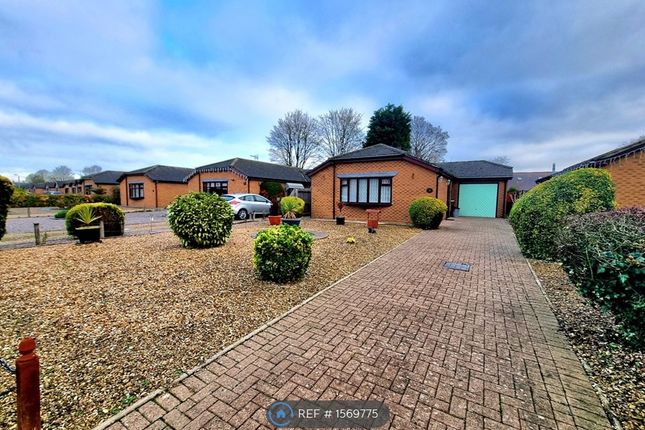 Thumbnail Bungalow to rent in Rembrandt Way, Spalding