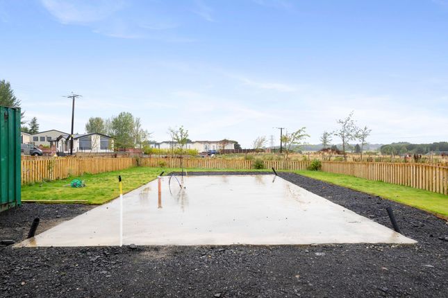 Plot 6