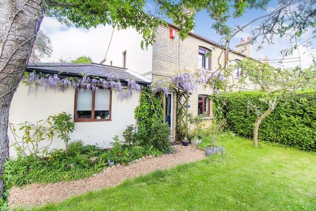 Thumbnail Cottage for sale in Biggleswade
