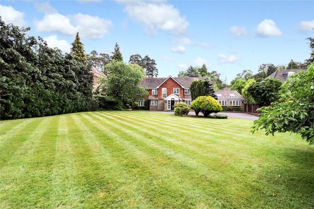 Thumbnail Detached house for sale in Sunning Avenue, Sunningdale, Berkshire