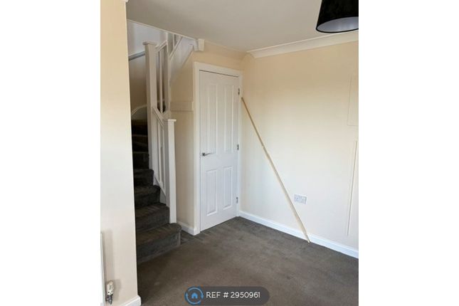 Cotton Thistle Way, Minster On Sea, Sheerness photo 5
