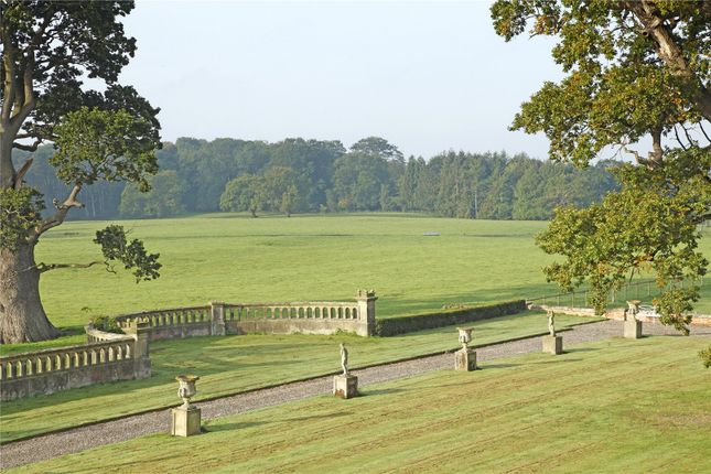 Grounds