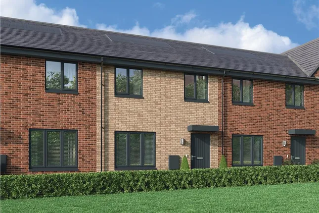 Miller Homes - Millerpark