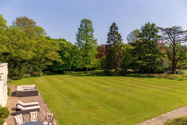 Grounds