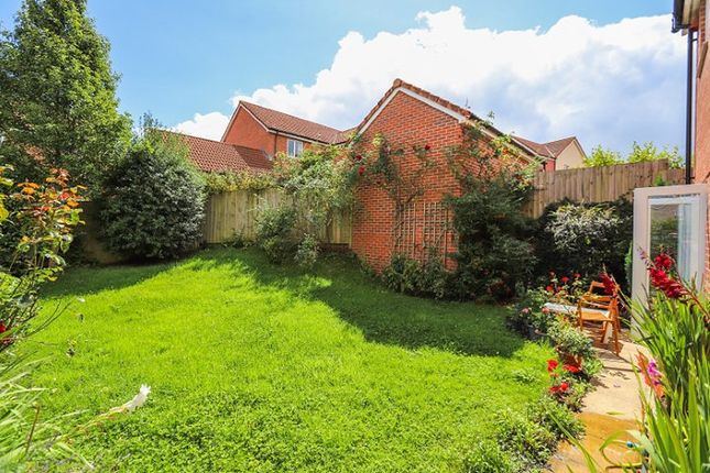 Detached house for sale in Three Corner Field, Cranbrook, Exeter