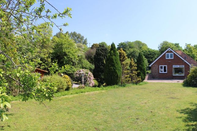 Thumbnail Bungalow for sale in Cliff Road, Hythe, Kent