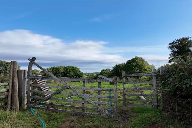 Farm for sale in Llethryd, Swansea