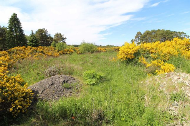 Land for sale in Feabuie, Culloden Moor, Inverness