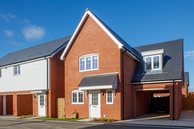 Leaf Living at Chesterwell, Mile End, Colchester, CO4, Colchester photo 2