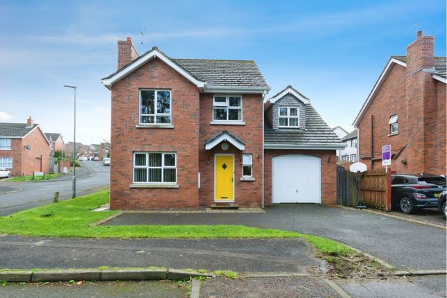 Thumbnail Detached house for sale in Greenvale Avenue, Antrim