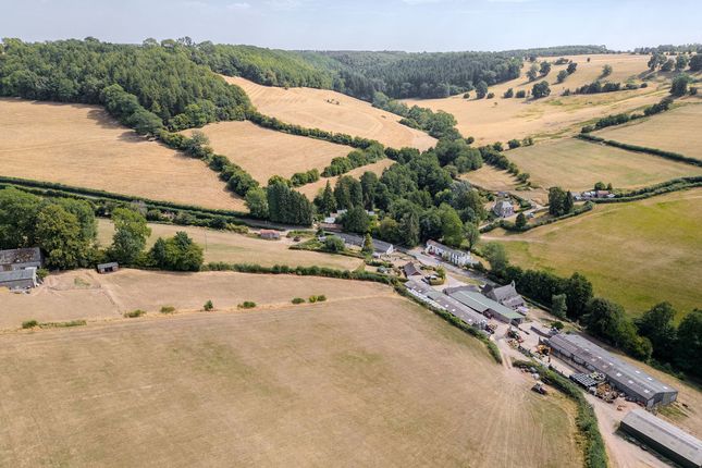 Green Gables, Mork, St Briavels photo 3