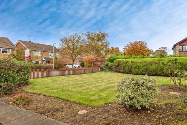 69, Holman Road, Norwich photo 4