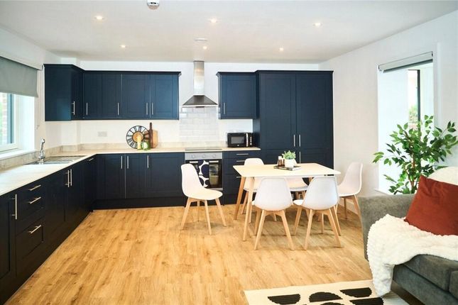 Bright And Modern Kitchen Featuring Sleek Dark Cab...