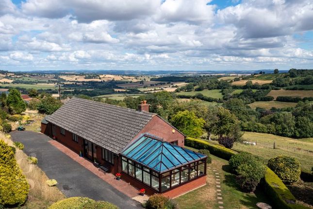 Thumbnail Bungalow for sale in Garway Hill, Herefordshire