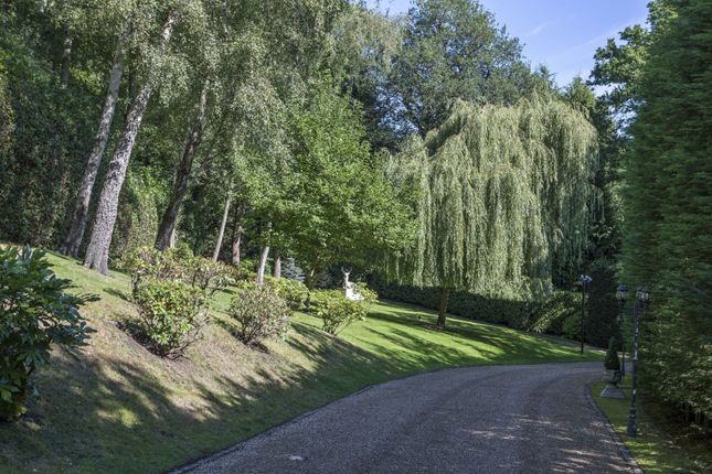 Hartlands,, Rodona Road, St George's Hill photo 4