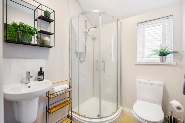Flat 1, 88, Albany Road, Cardiff photo 4