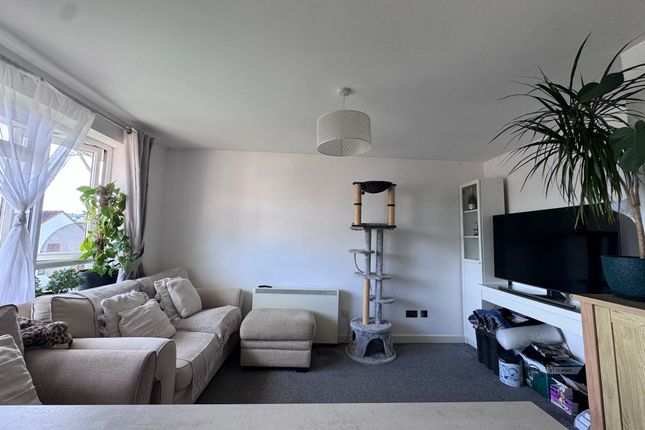 24 Carew Road, Tiverton photo 4