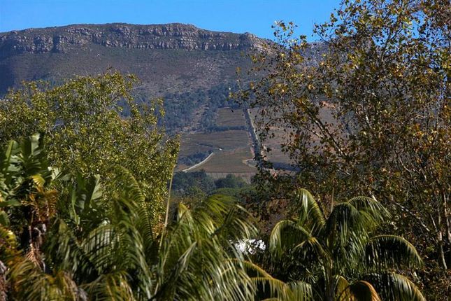 Farm for sale in Confidentially Available Wine Estate, Constantia, Cape Town, Western Cape, South Africa