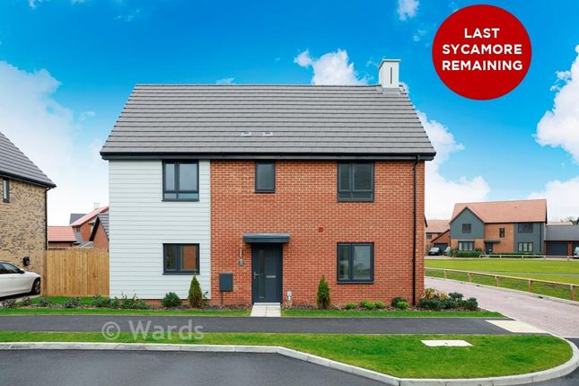 4-bed detached on The Sycamore, Evers Road, Faversham, £600,000