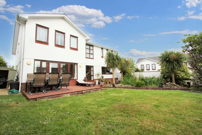 Rear Garden And Elevation