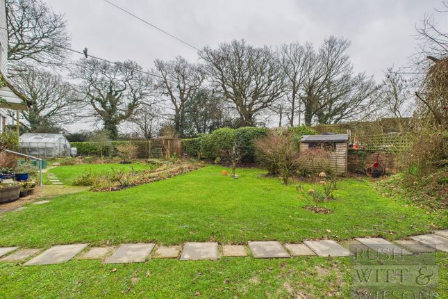 Highrise Cottage, The Stream Catsfield, Battle photo 2